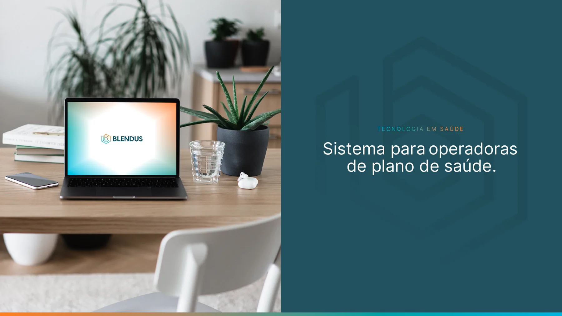 Blendus - projeto trasso.design