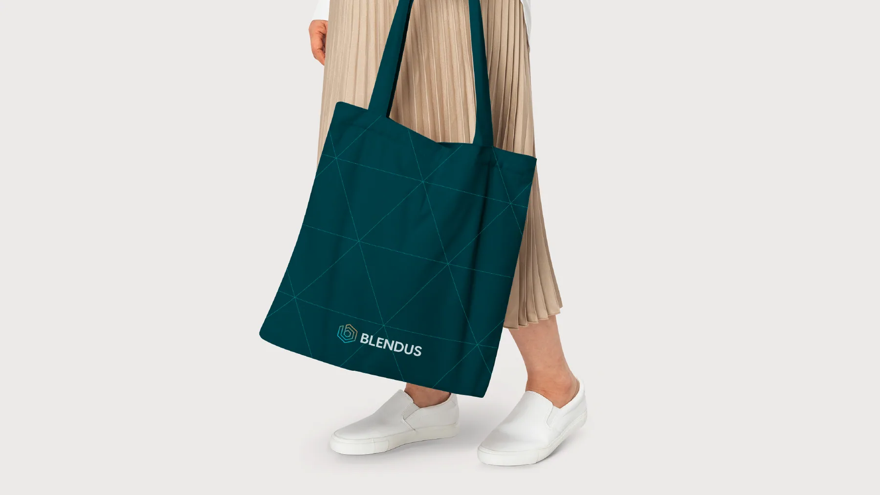 Blendus - projeto trasso.design