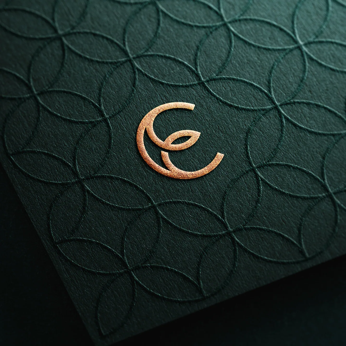 Carvalho-Empinotti - projeto trasso.design