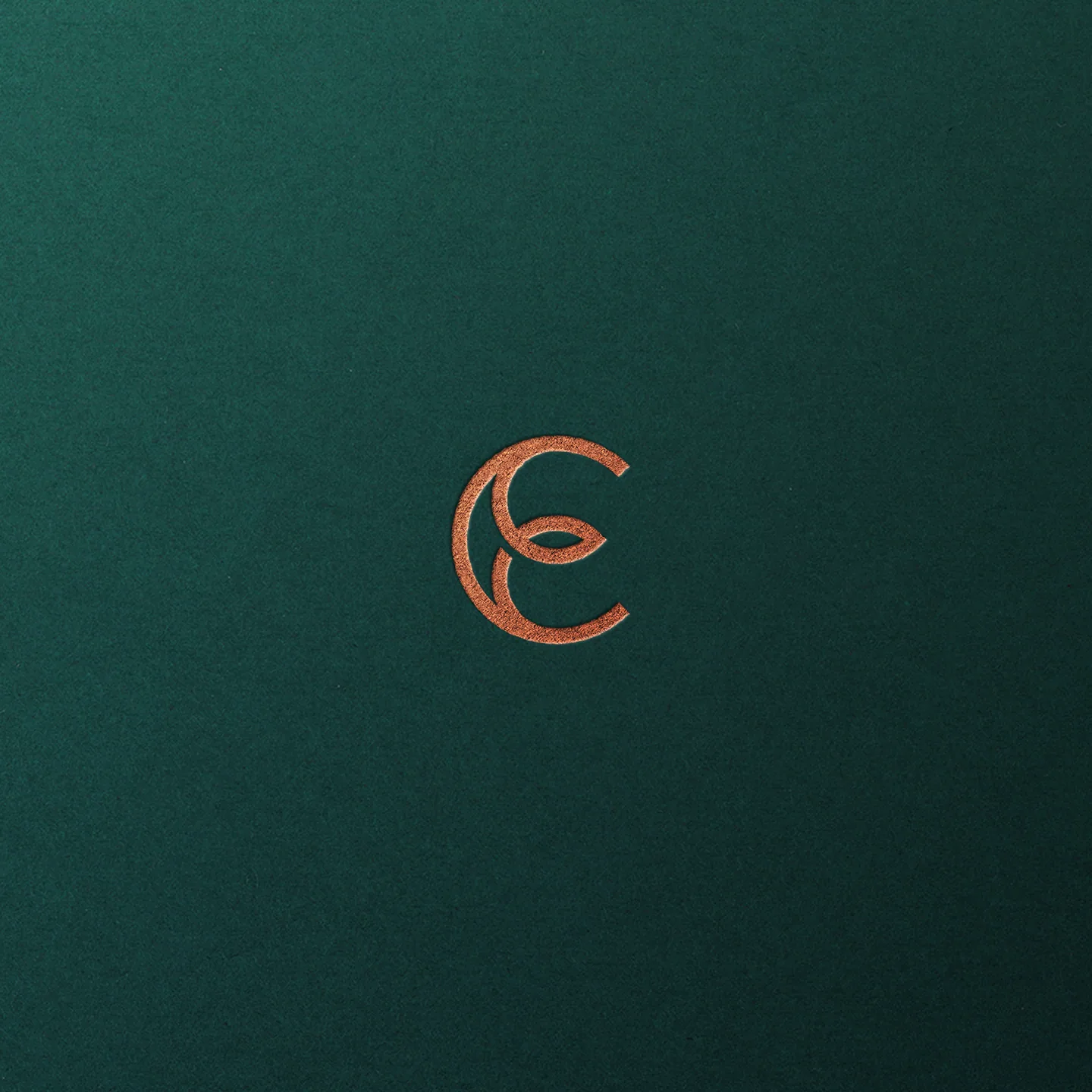 Carvalho-Empinotti - projeto trasso.design