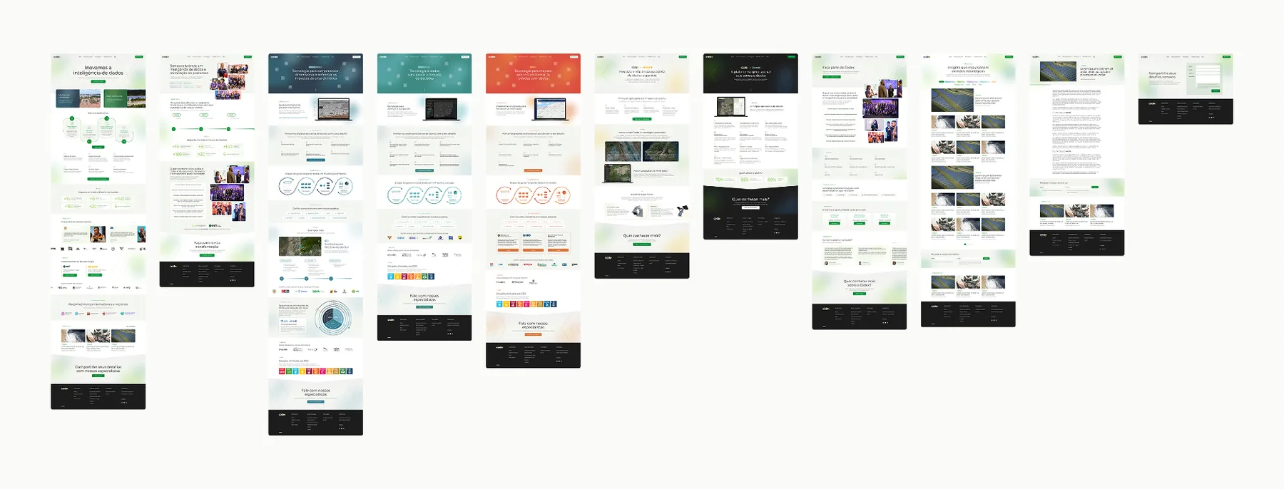 Codex - projeto trasso.design