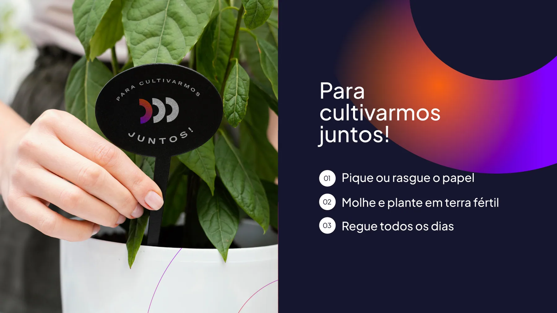 Consultoria de Sucesso - projeto trasso.design