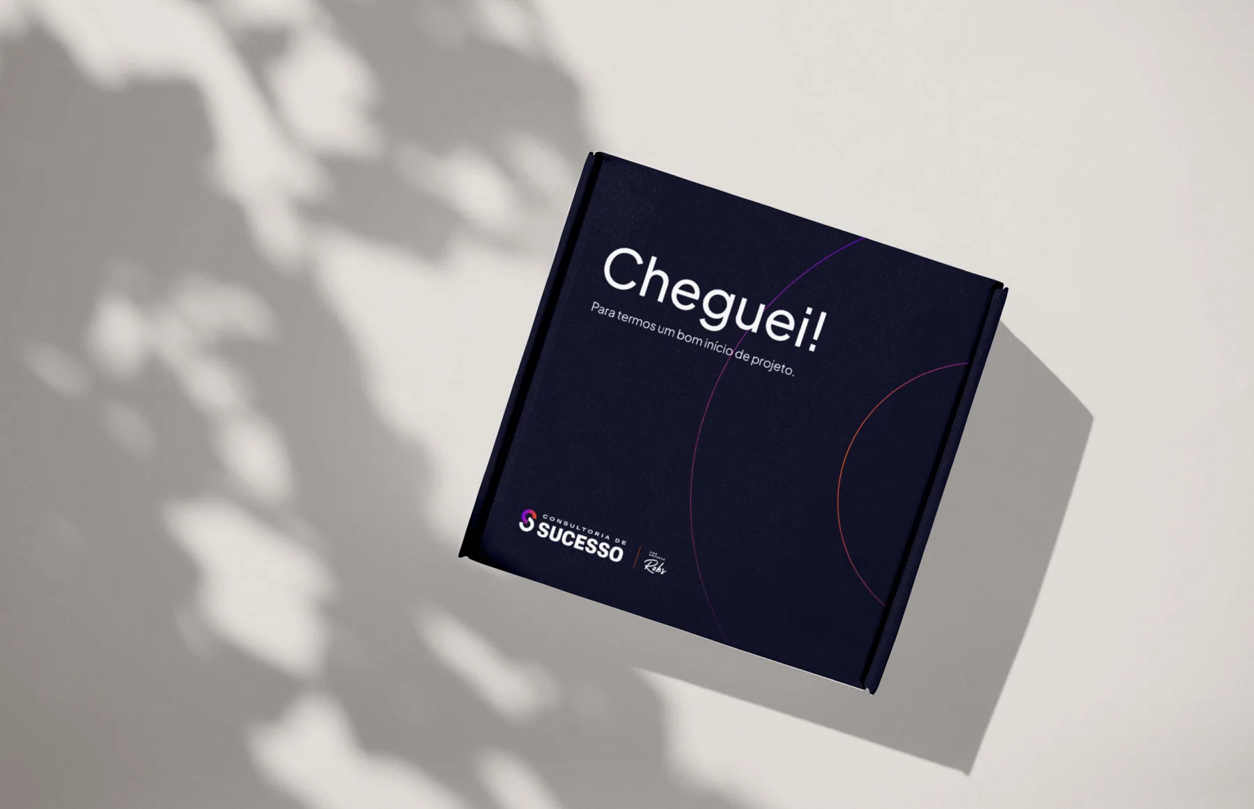 Consultoria de Sucesso - projeto trasso.design