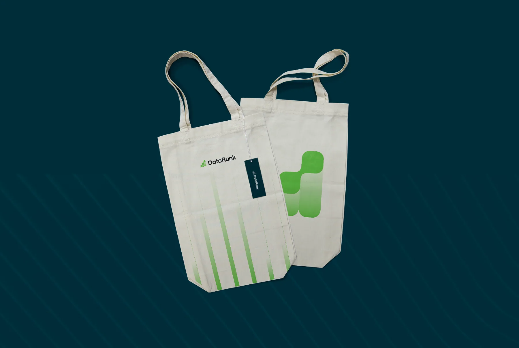 DataRunk - projeto trasso.design