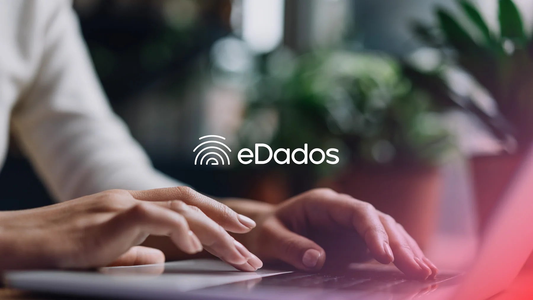 eDados - projeto trasso.design