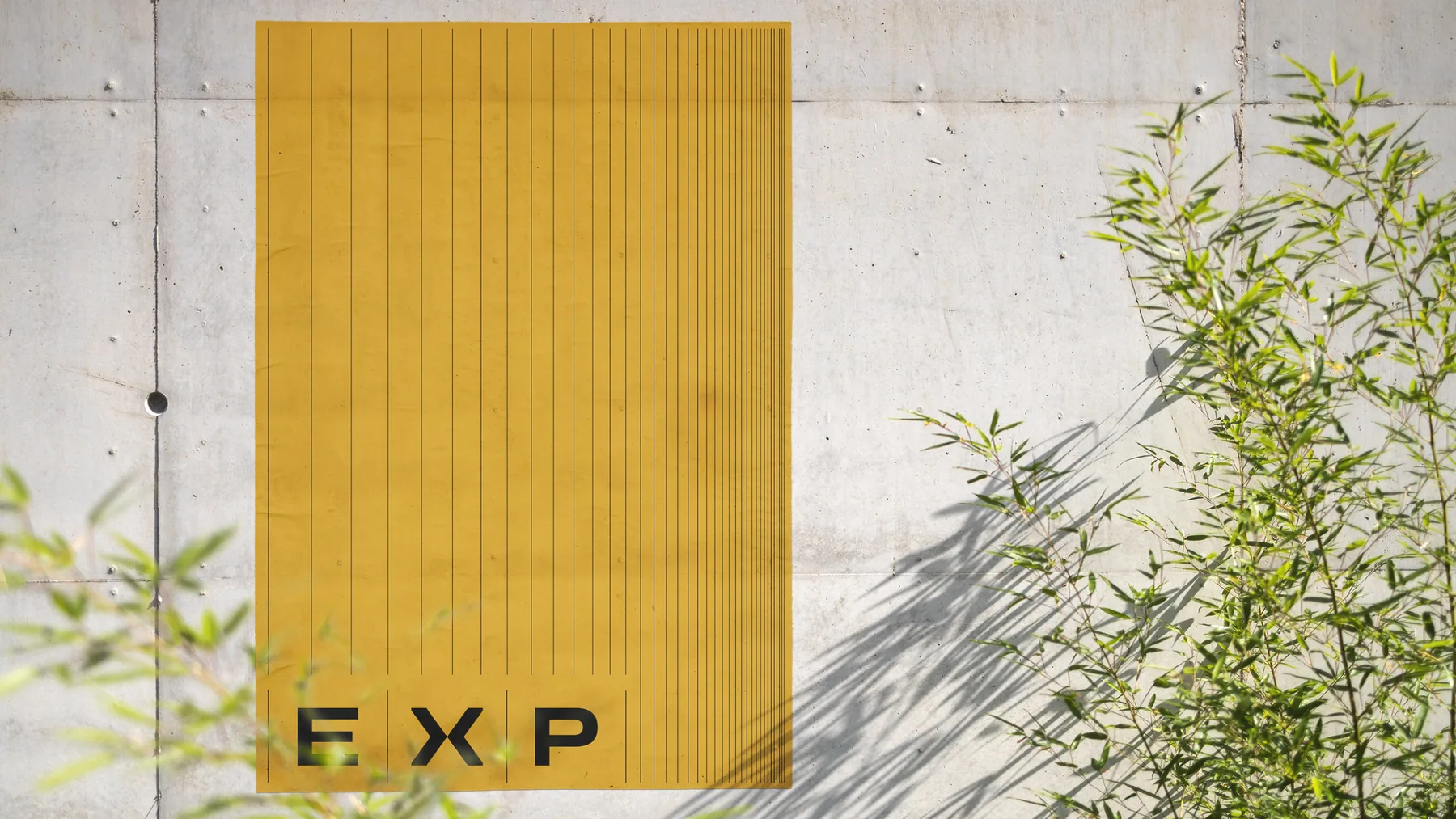 EXP - projeto trasso.design