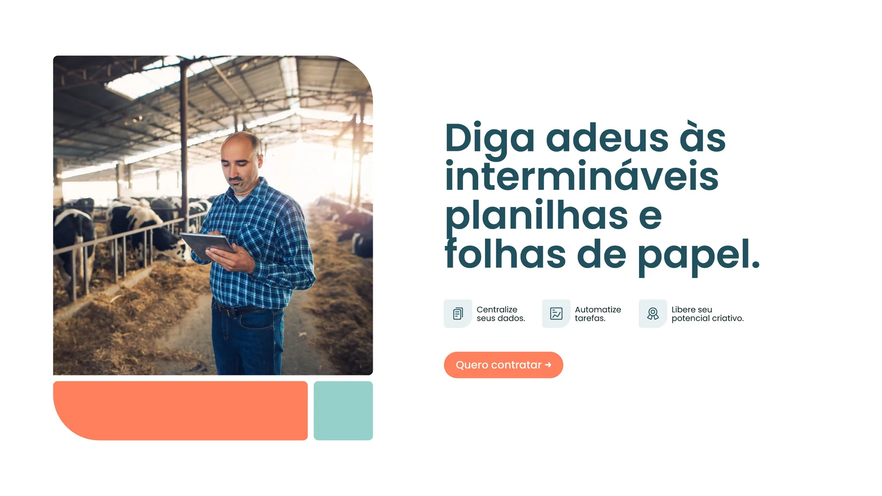 Favu - projeto trasso.design