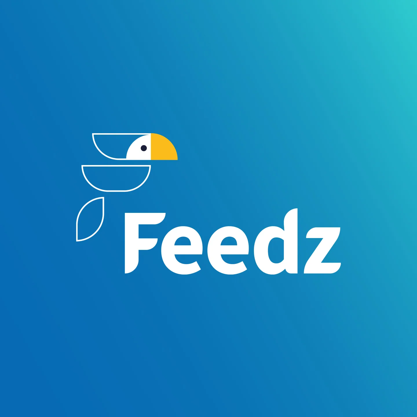 Feedz - projeto trasso.design