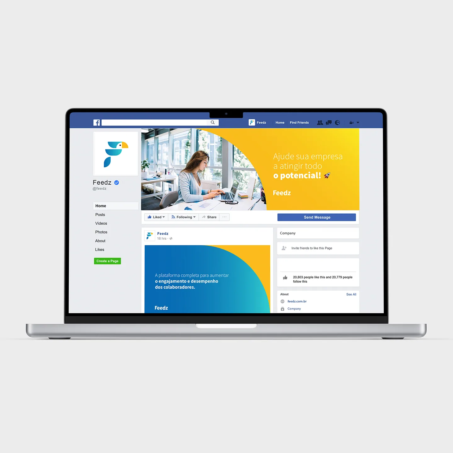 Feedz - projeto trasso.design