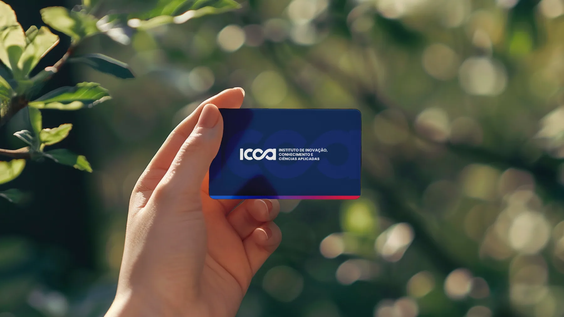ICCA - projeto trasso.design