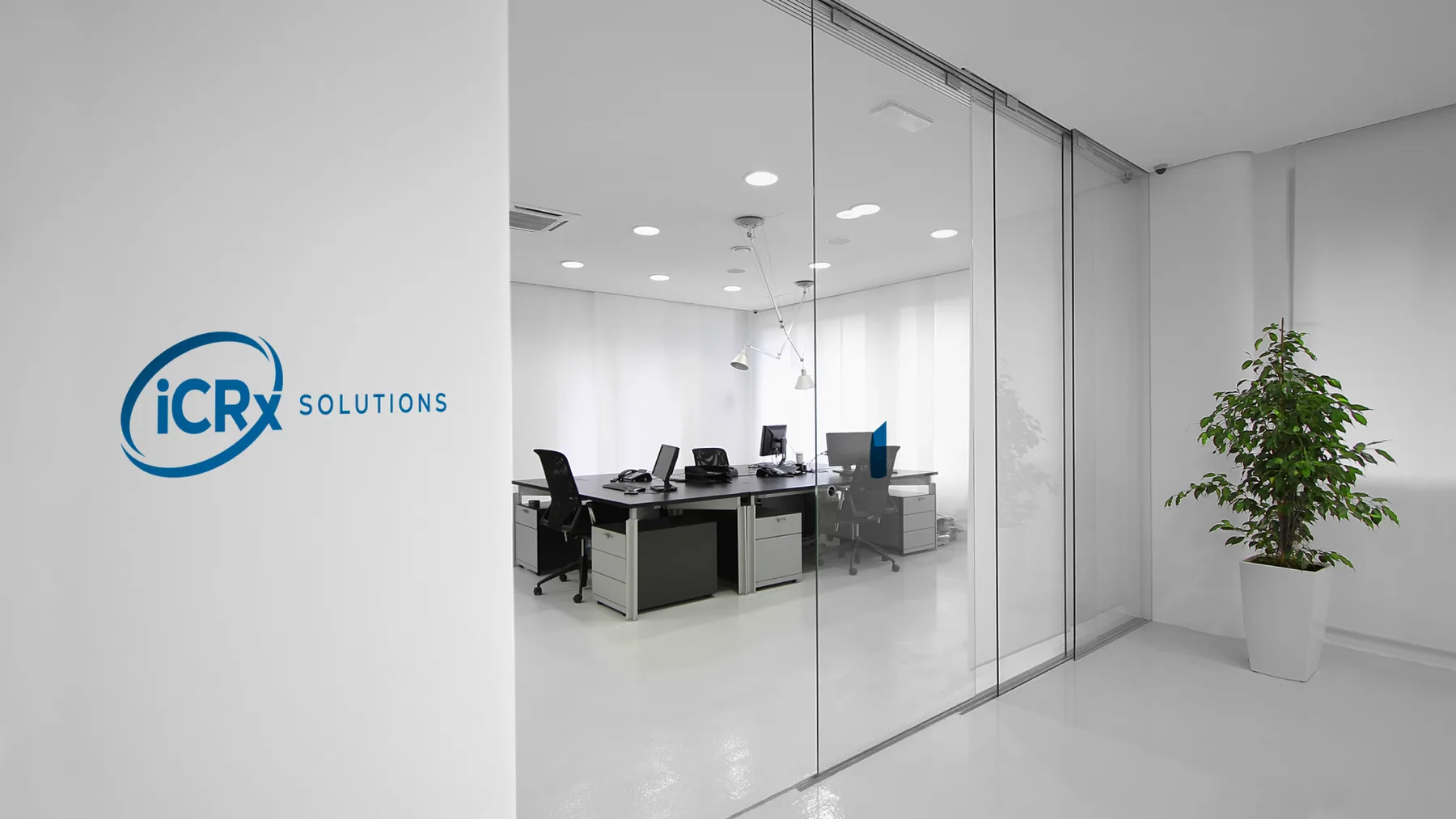 ICRx - projeto trasso.design