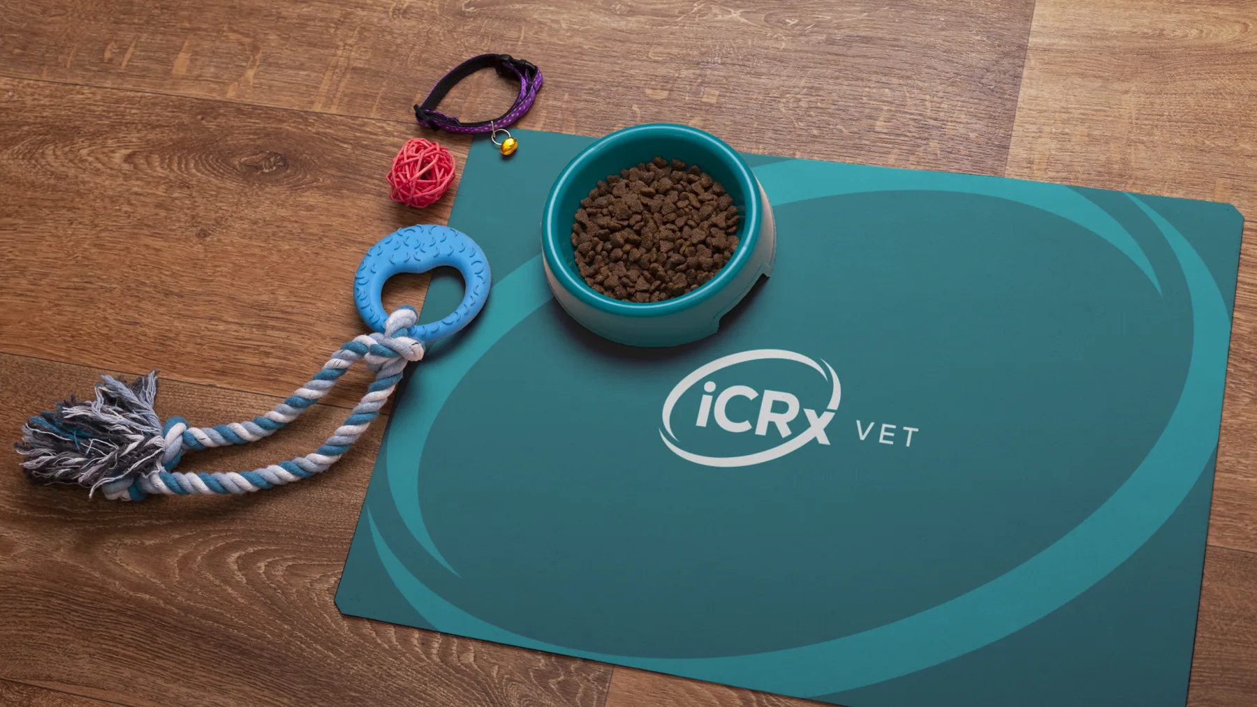ICRx - projeto trasso.design