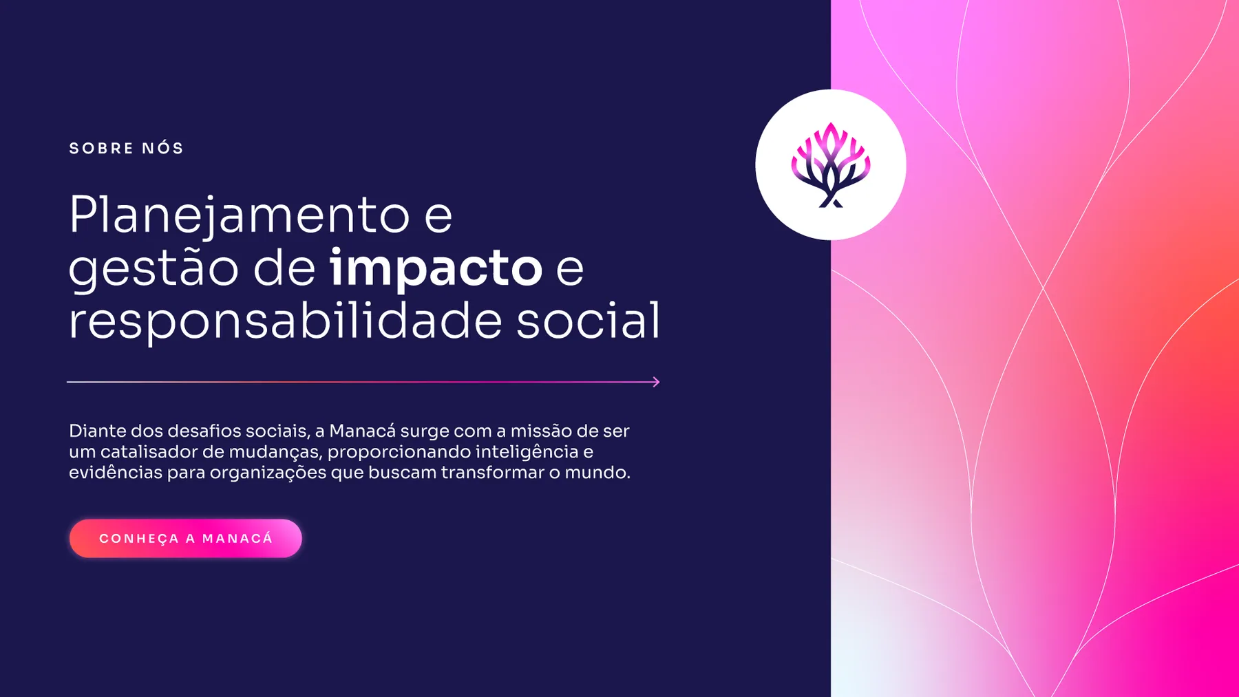 Manacá - projeto trasso.design
