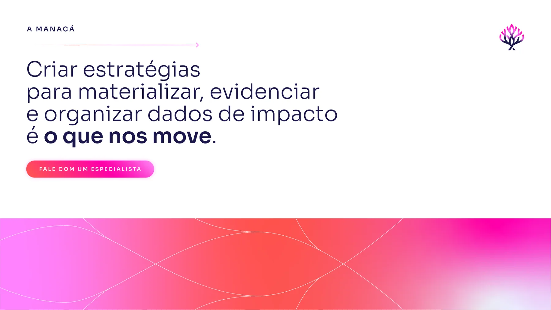 Manacá - projeto trasso.design