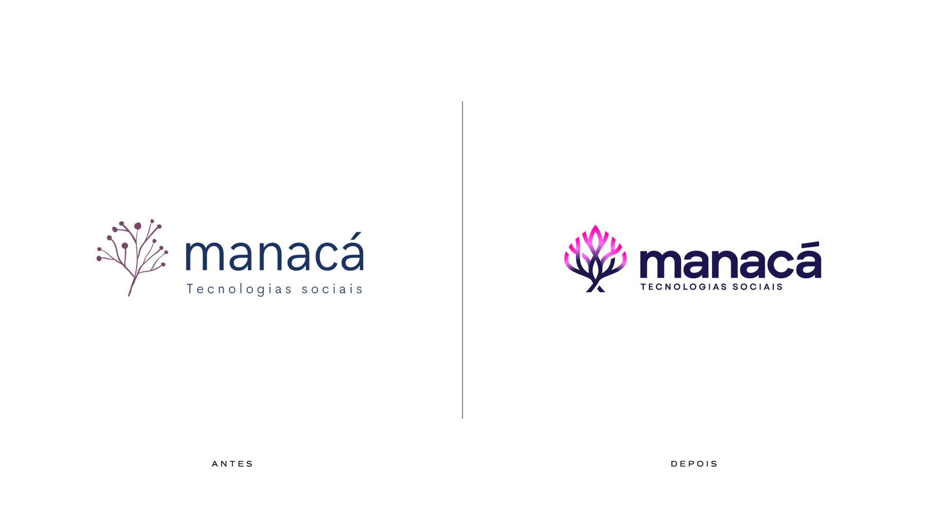 Manacá - projeto trasso.design