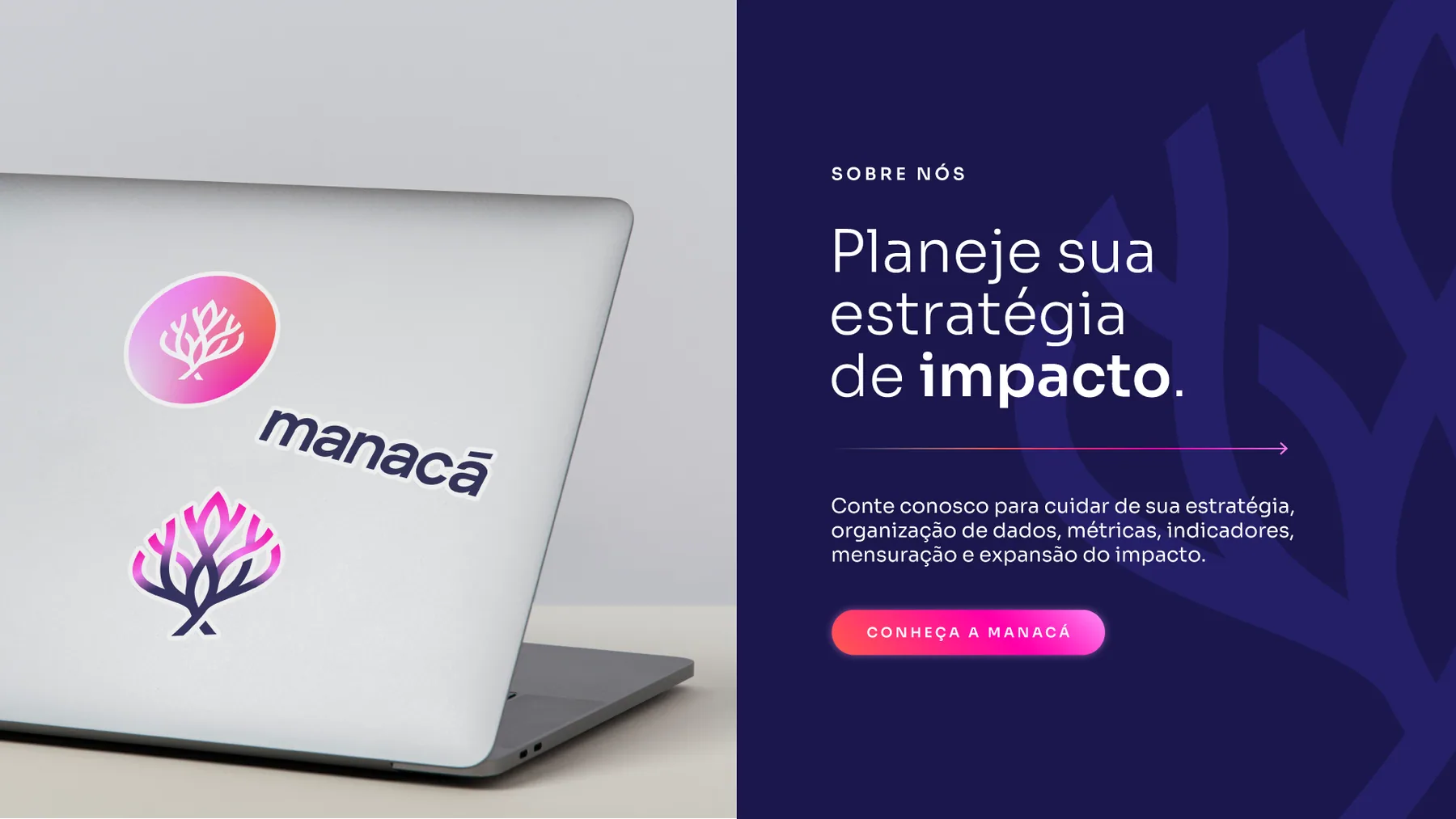 Manacá - projeto trasso.design