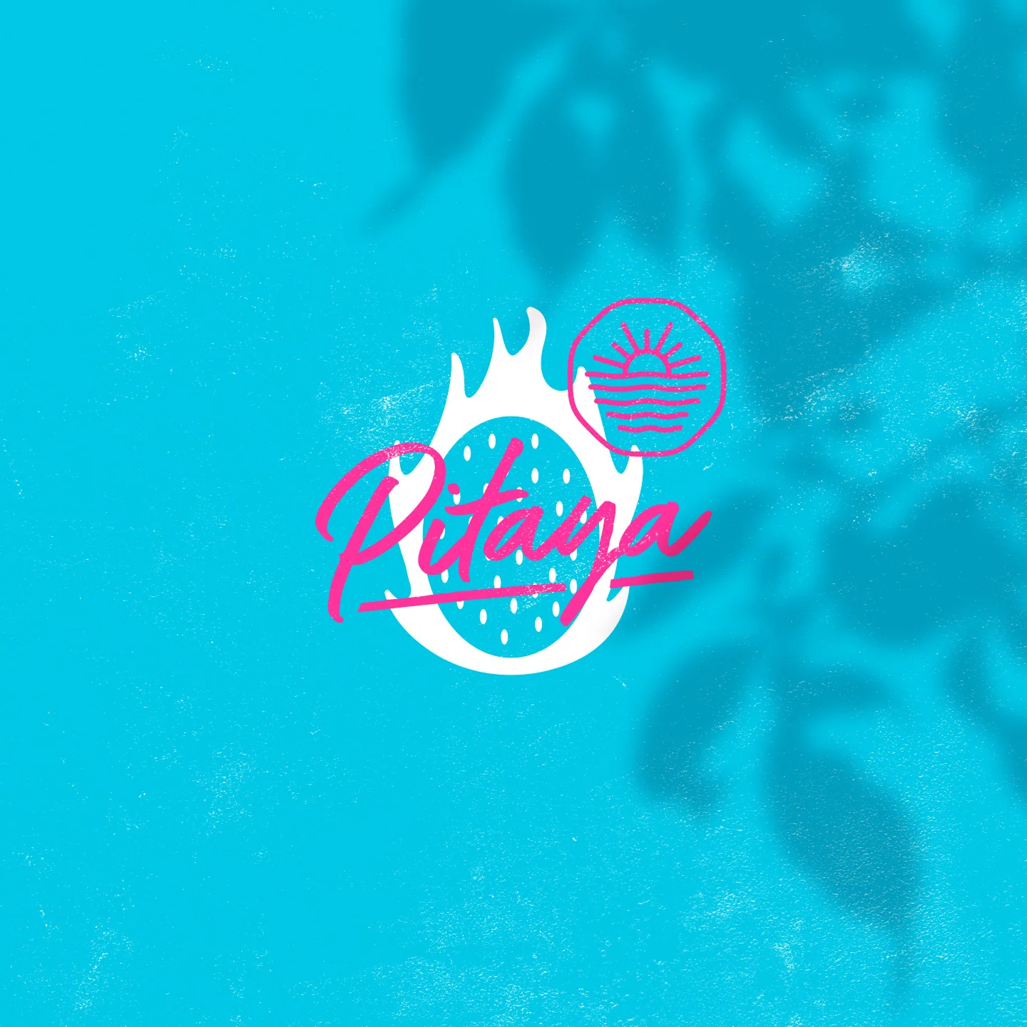 Pitaya - projeto trasso.design