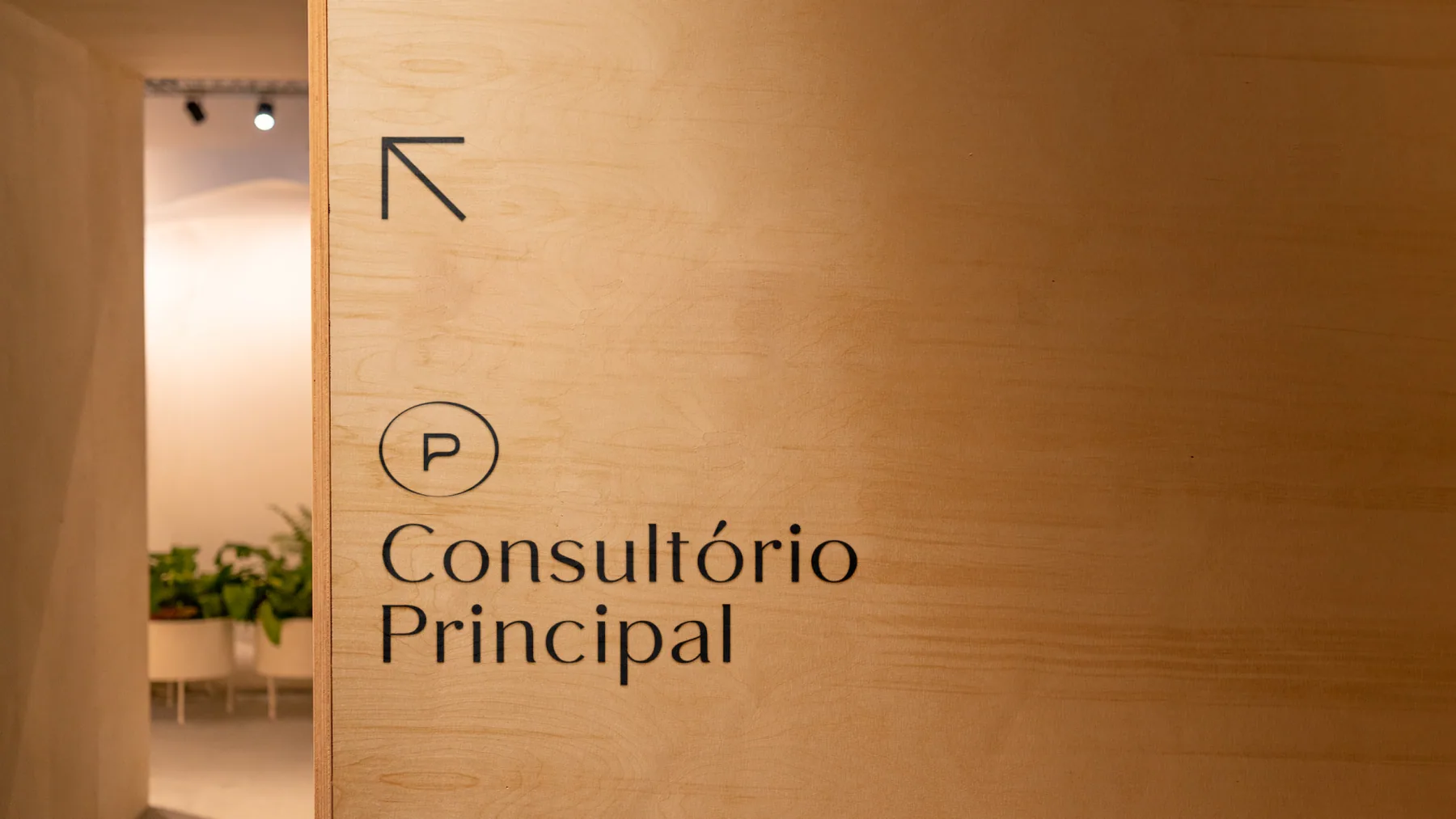 Plurali - projeto trasso.design