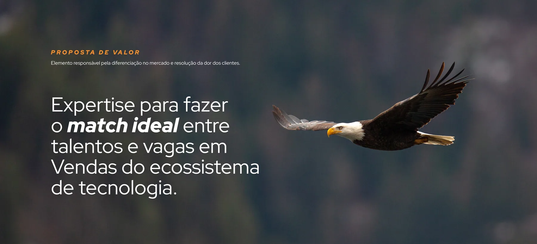 SalesHunter - projeto trasso.design
