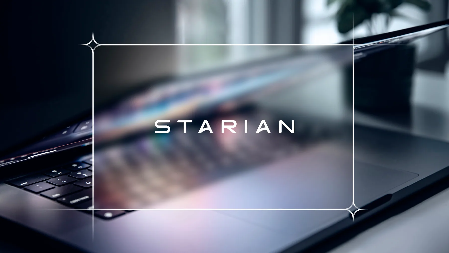 Starian - projeto trasso.design