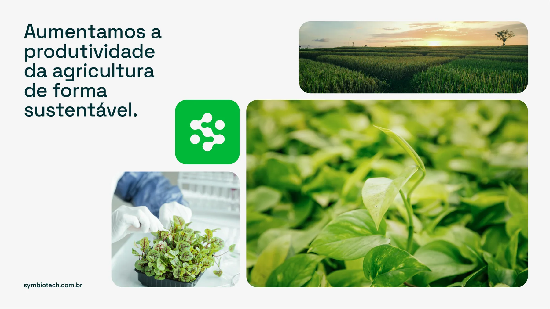 Symbiotech - projeto trasso.design
